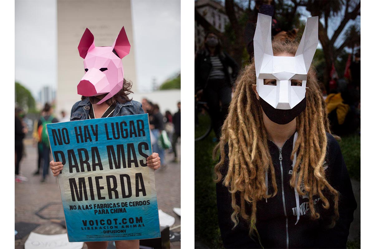 CABA. 09/11/2020. Marcha a plaza de mayo de organizaciones sociales y ambientales en oposición al acuerdo porcino con China.