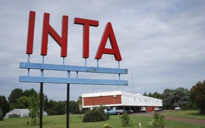 Pese a un fallo judicial, el INTA insiste en fumigar con agrotóxicos