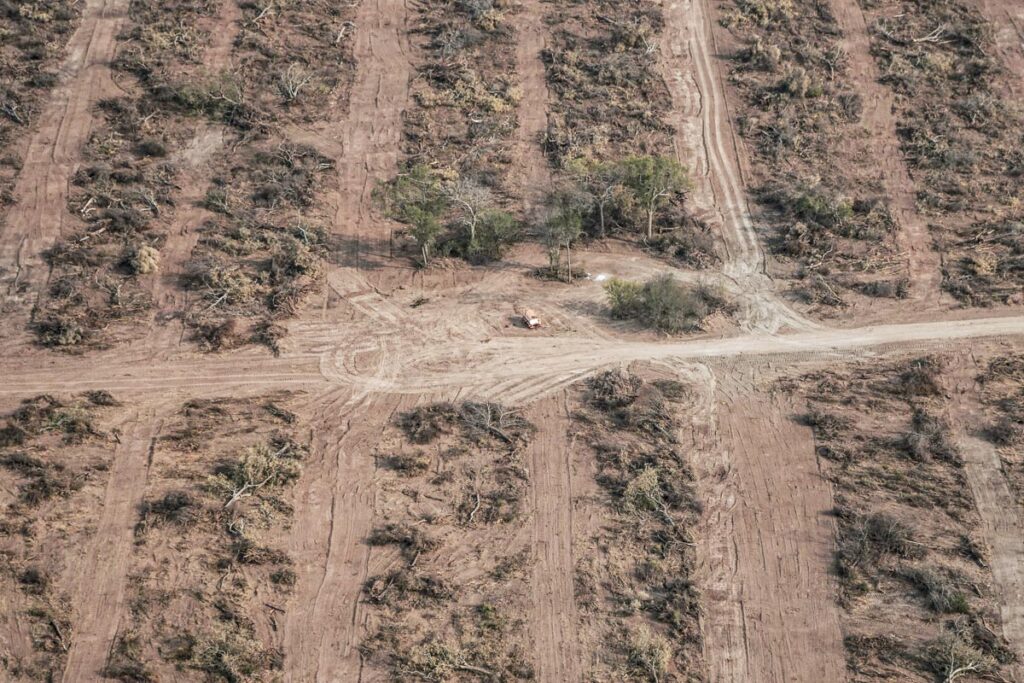 Comunidades indígenas y campesinas alertan sobre la falta de agua en Santiago del Estero. Una de las principales causas, la deforestación.