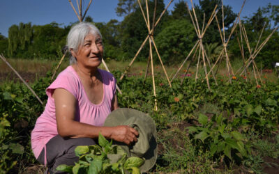Córdoba agroecológica: sembrar comunidades críticas