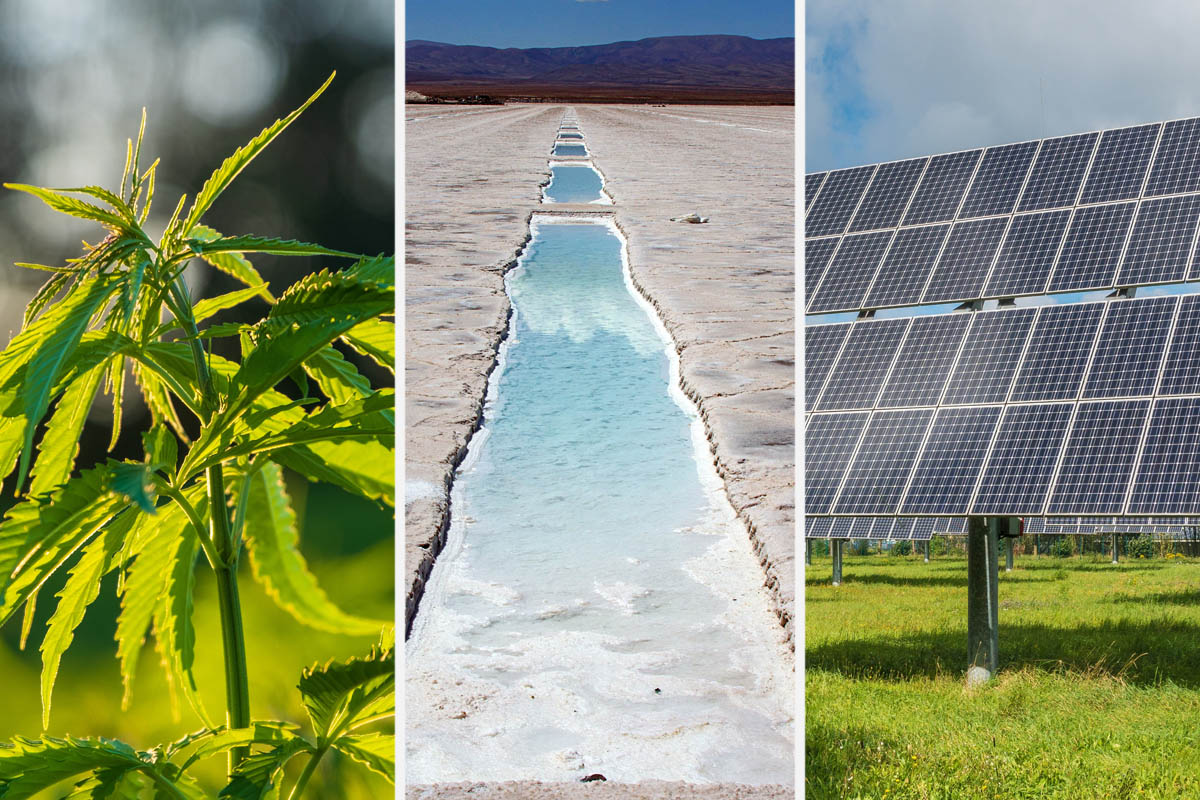 Cannabis, litio y paneles solares