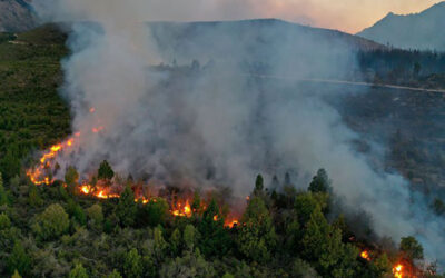 Incendios en El Bolsón: 8.500 hectáreas bajo fuego y crisis en las zonas rurales