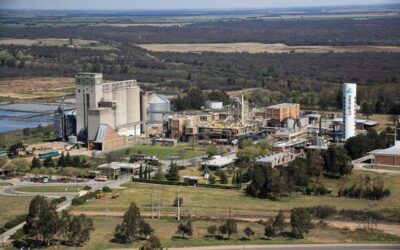 El grupo Ledesma en tiempos de coronavirus: 492 infectados y 18 trabajadores muertos