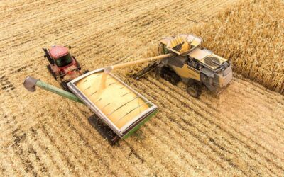 Precios de los alimentos: las propuestas de campesinos y cooperativas