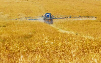 Estudio científico: el uso de agrotóxicos en campos cercanos afecta las prácticas agroecológicas