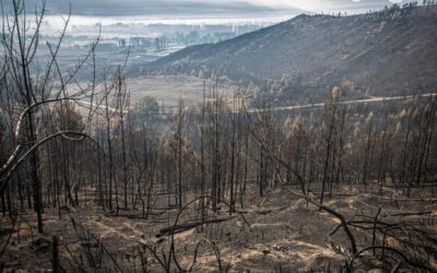 Las Asambleas Ciudadanas de Chubut denunciaron el montaje mediático de Arcioni