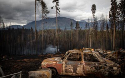 Incendios en Chubut: causas, responsables y resistencias