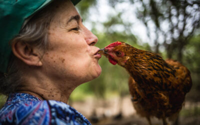 Otro modelo es posible: "Agroecología. El futuro llegó"