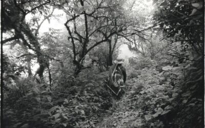 Trashumantes - Claudio Casparrino