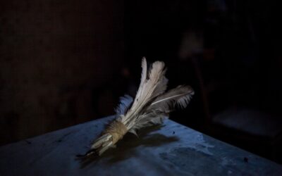 Camino de viento y piedra: el Qhapaq Ñan sigue vivo