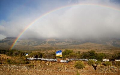 “El Pueblo Mapuche mantiene su vitalidad, se organiza y es libre”