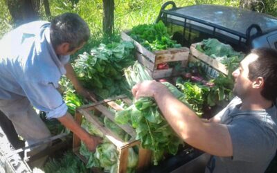 La ciudad de Santa Fe aprobó una ordenanza de promoción de la agroecología