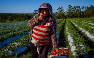 ¿Pueden convivir el modelo del agronegocio y la soberanía alimentaria?
