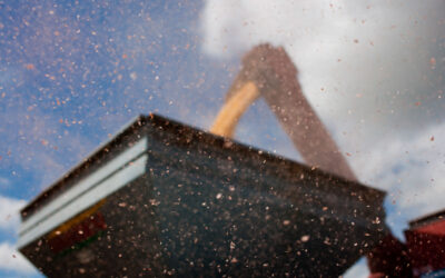 Retenciones a la exportación de granos: ¿Qué país queremos?