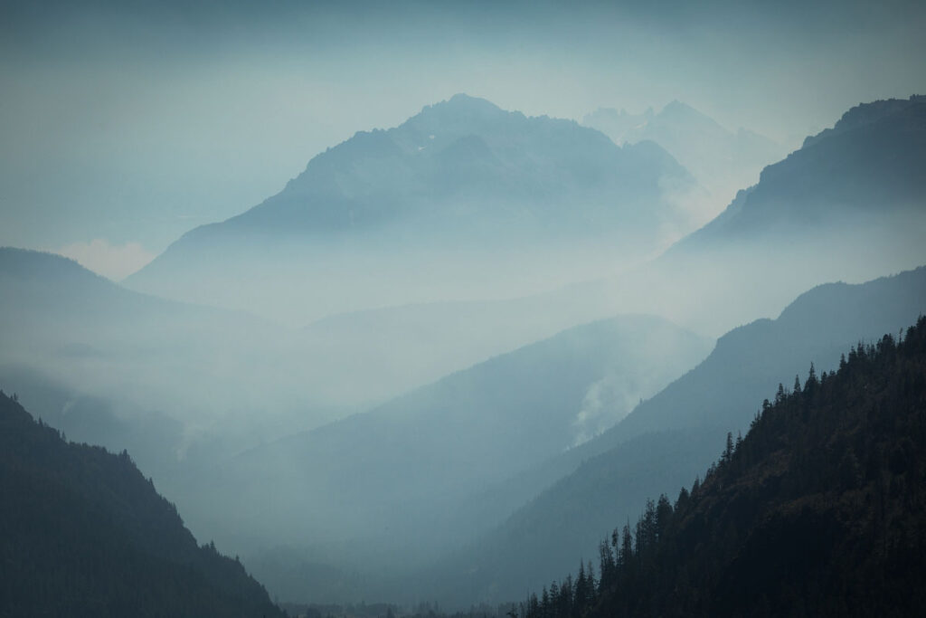 Jade Sívori - El bosque que nos queda