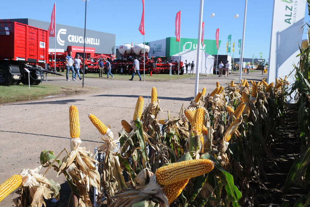 Prohíbe México maíz transgénico en consumo humano