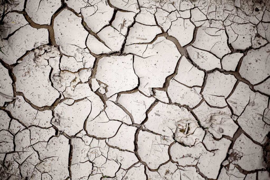 Sequía en Argentina
