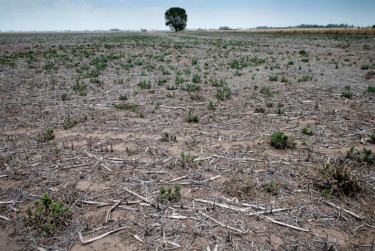 Sequía en Argentina afecta a pequeños y medianos productores del campo