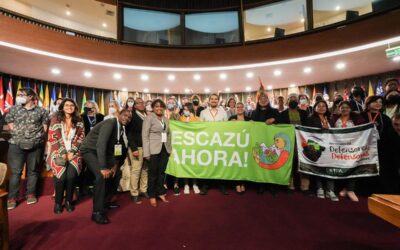 La COP2 de Escazú en Buenos Aires busca poner en marcha el acuerdo regional