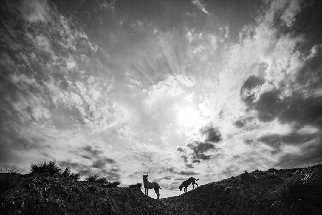 Conurbano, territorios e imágenes para hacer visible lo que muchos no quieren ver