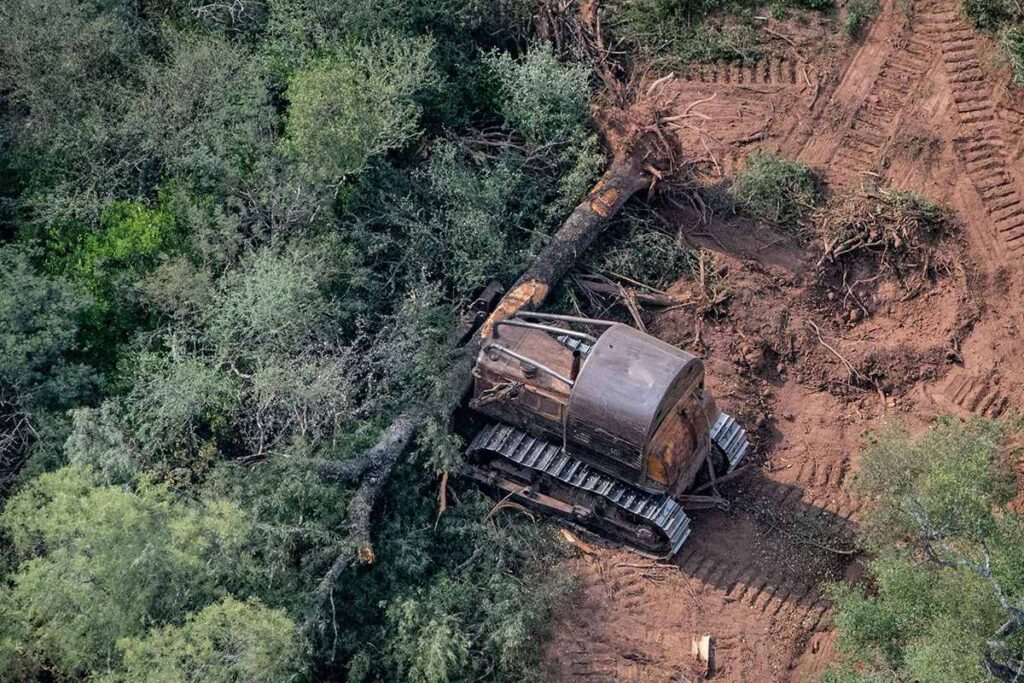 Topadoras en Chaco - Europa avanza en normativa para de frenar la "deforestación importada".