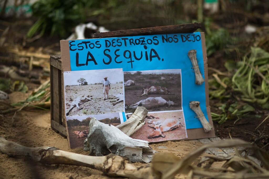 Manifestación en Plaza de Mayo para reclamar al gobierno politicas de ayuda a los pequeños productores por los efectos de la sequía