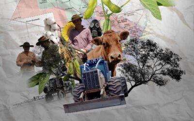 Chaco: la agroecología que asoma entre la sojización,  la ganadería y los desmontes