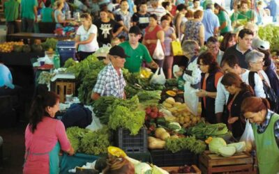 Ferias Francas de Misiones: 25 años de alimentos sanos y comercio justo