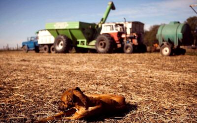 El mito ordenador del granero del mundo y la crisis social y ambiental