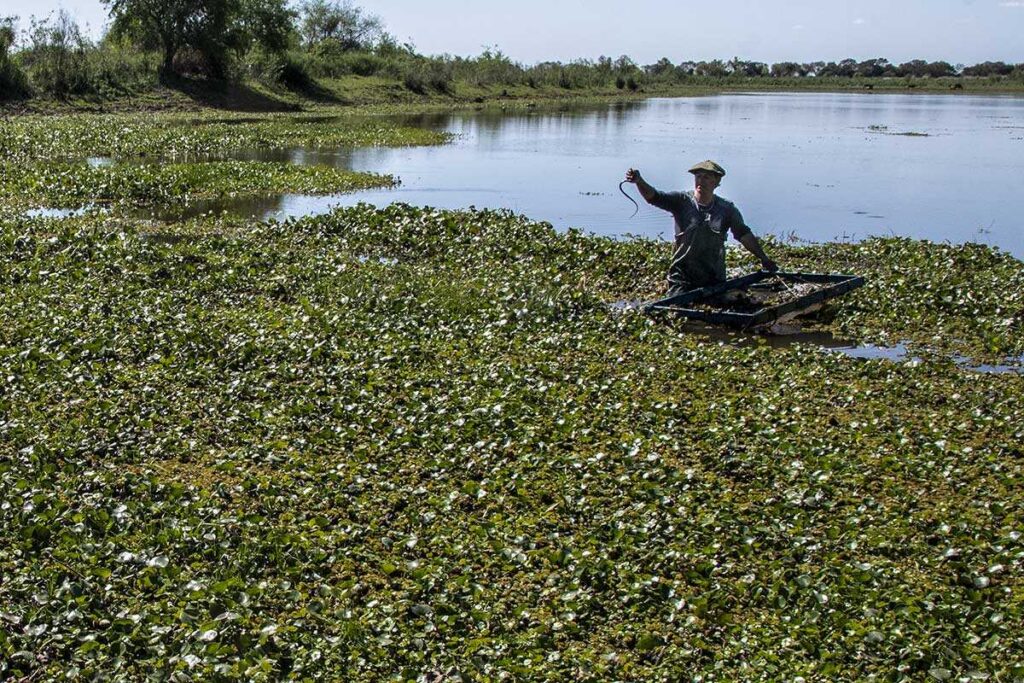 "Está aclarando y vamos pescando para vivir" Historias de vida de familias pescadoras del Paraná