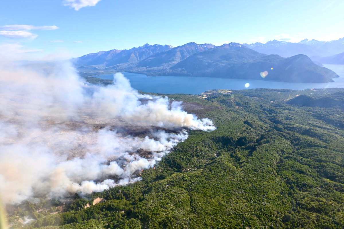 Incendio de Parque Nacional Los Alerces, chubut, enero 2024.