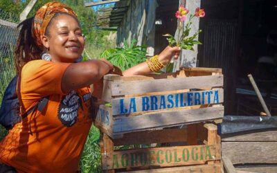 Agroecología popular en Brasil, experiencias para nutrir la organización regional