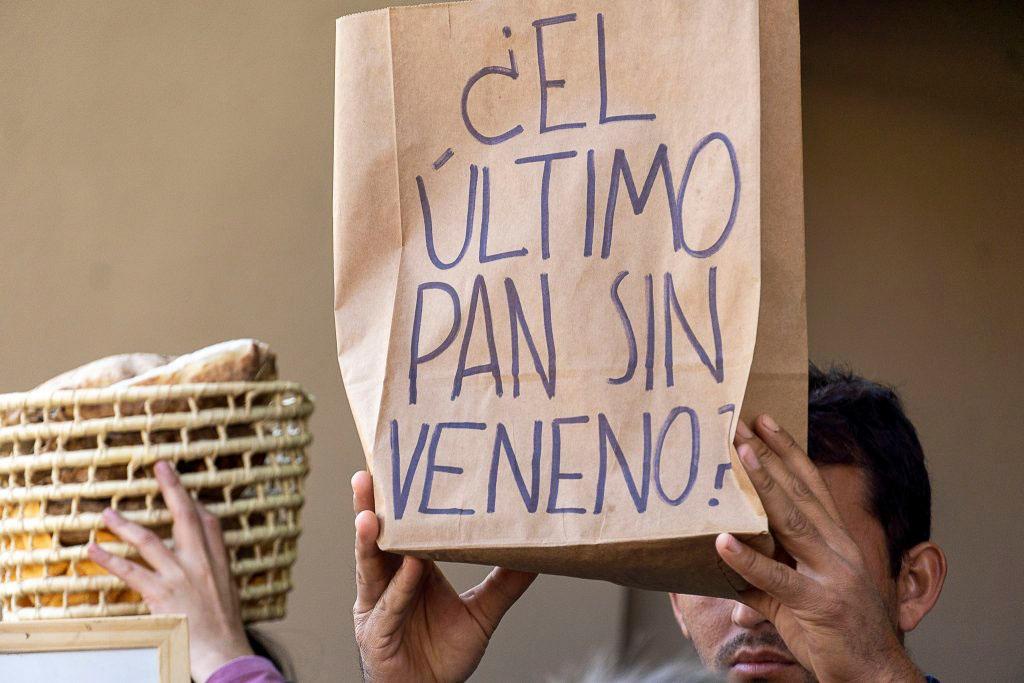 campaña Pansinveneno de Paraguay. El trigo transgénico se impone en la Argentina y la región con violación de derechos y falta de transparencia