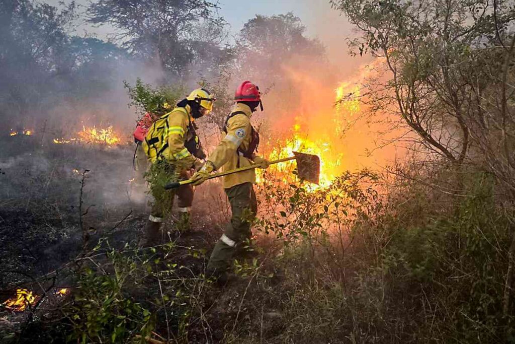Incendios en Corrientes.