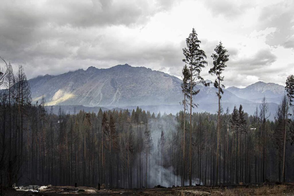 Incendio en Lago Puelo. Incendios en La Comarca: el rol de empresas forestales, inmobiliarias y mineras