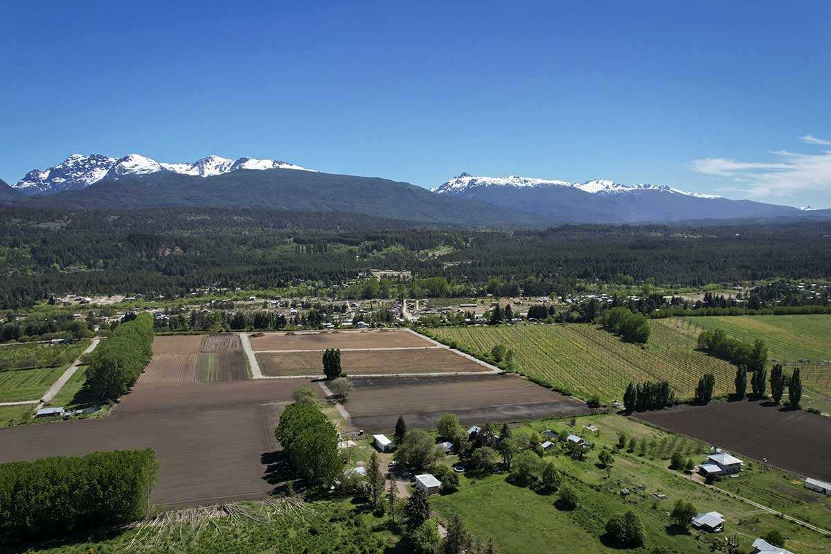 Vista desde el drone sobre el proyecto Rizoma y sus alrededores.
