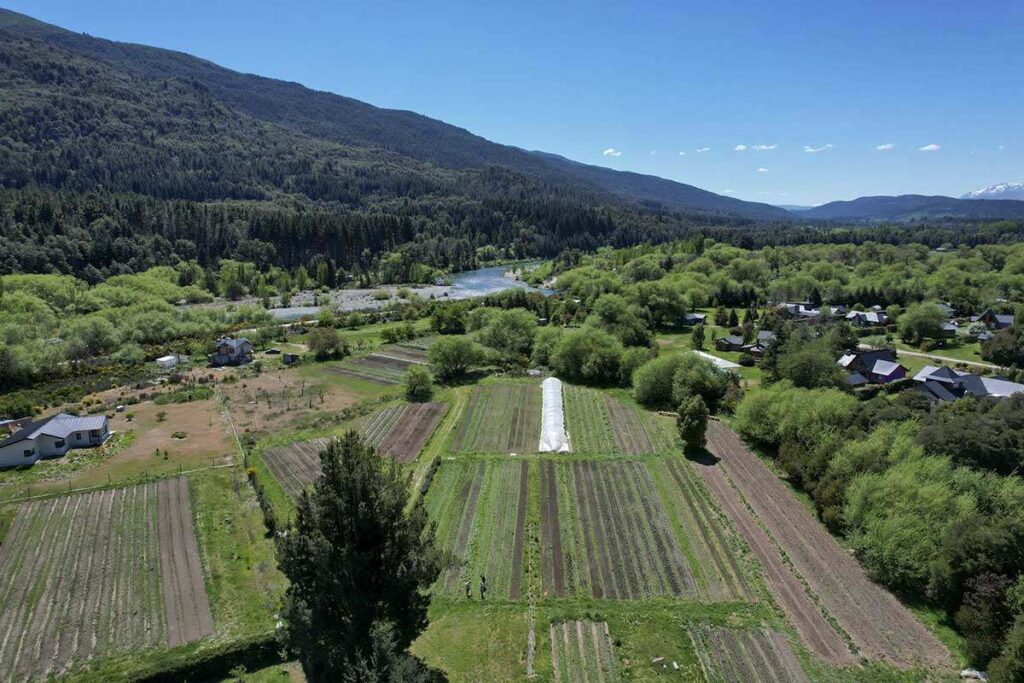 Vista desde el drone sobre la chacra Rizoma, el avance de la ubanización sobre los cultivos.