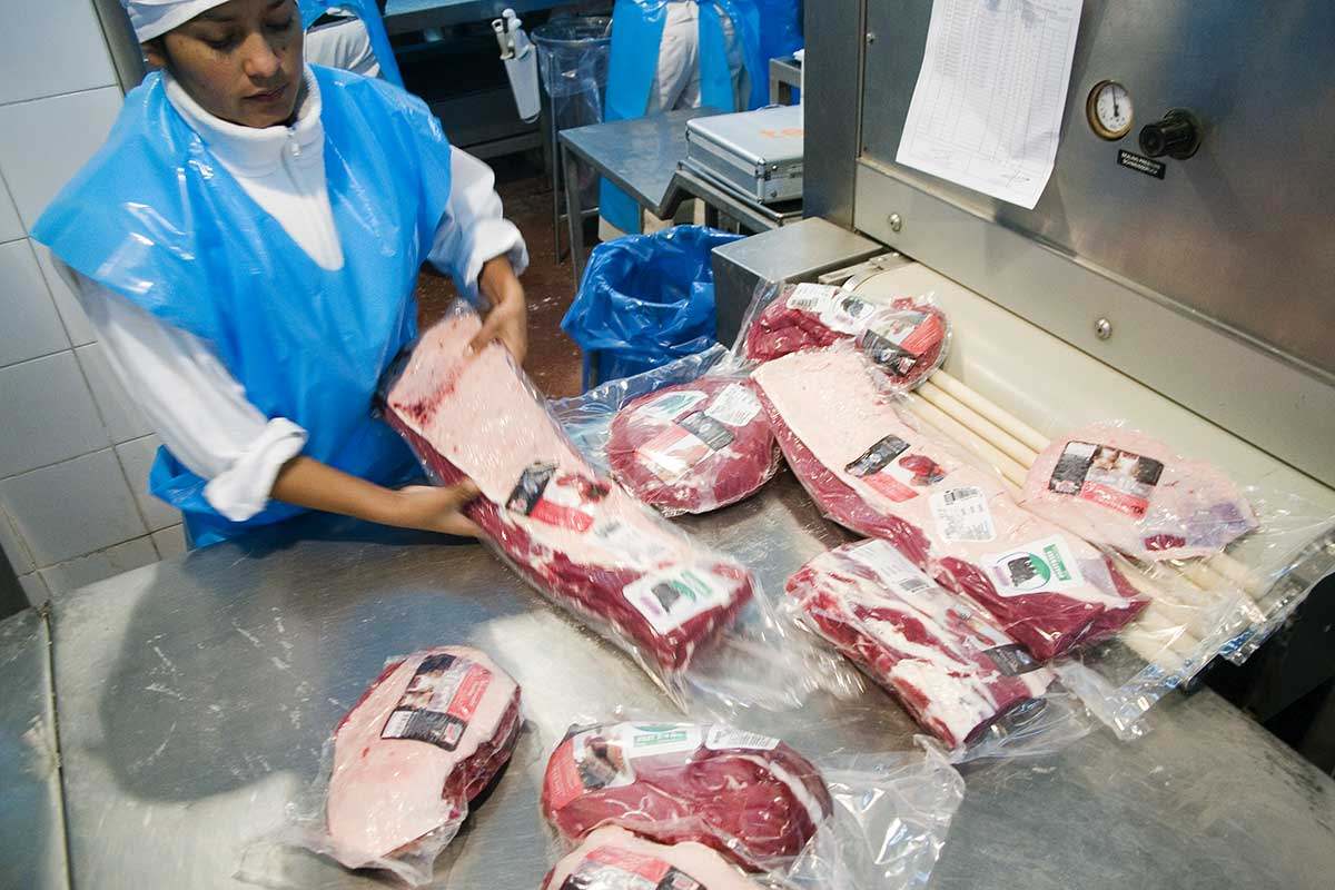 exportaciín_vacunos-argentina-12 Baja del consumo interno de carne y récord de exportación. Exportación de vacas de pie.