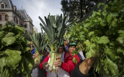 La soberanía alimentaria y los territorios frente a Milei