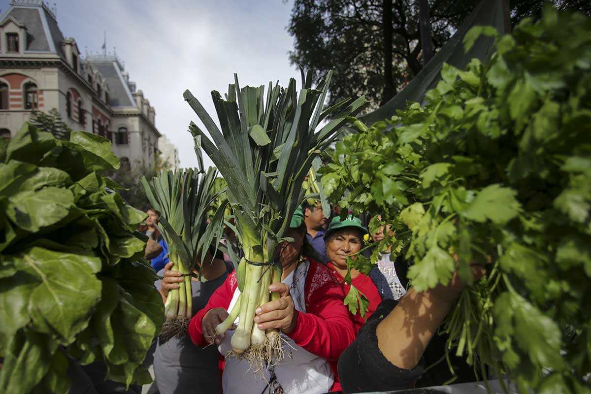 Cronica de la movilización de la UTT (Unión de Trabajadores de la Tierra): "Si el Gobierno no responde hay que salir a la calle"