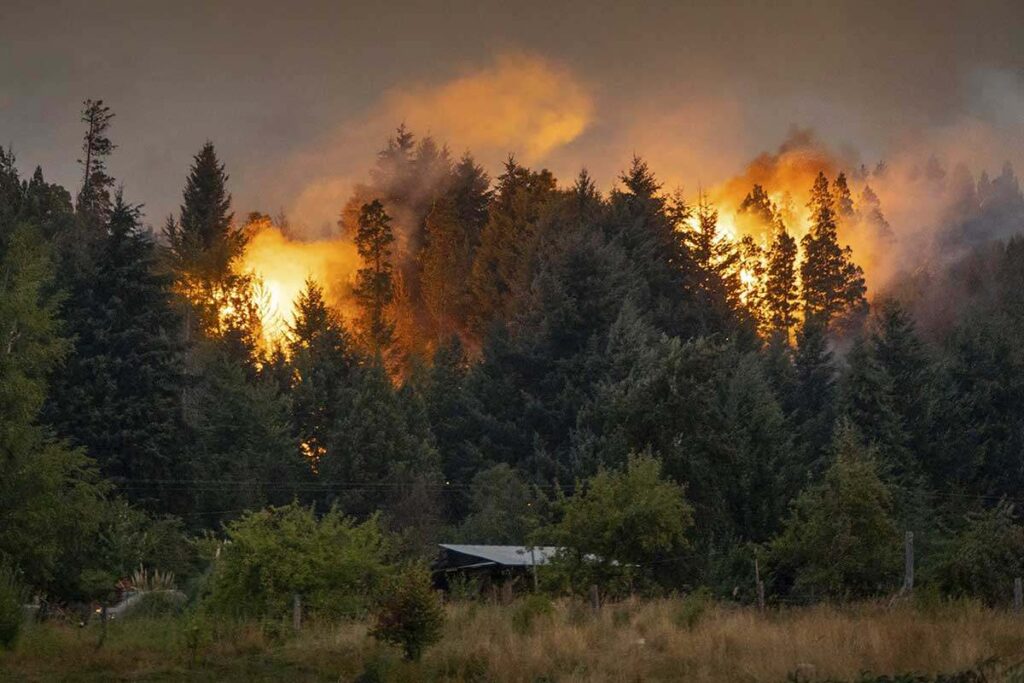 Los incendios en la Patagonia se cuadruplicaron y fueron los peores de ...