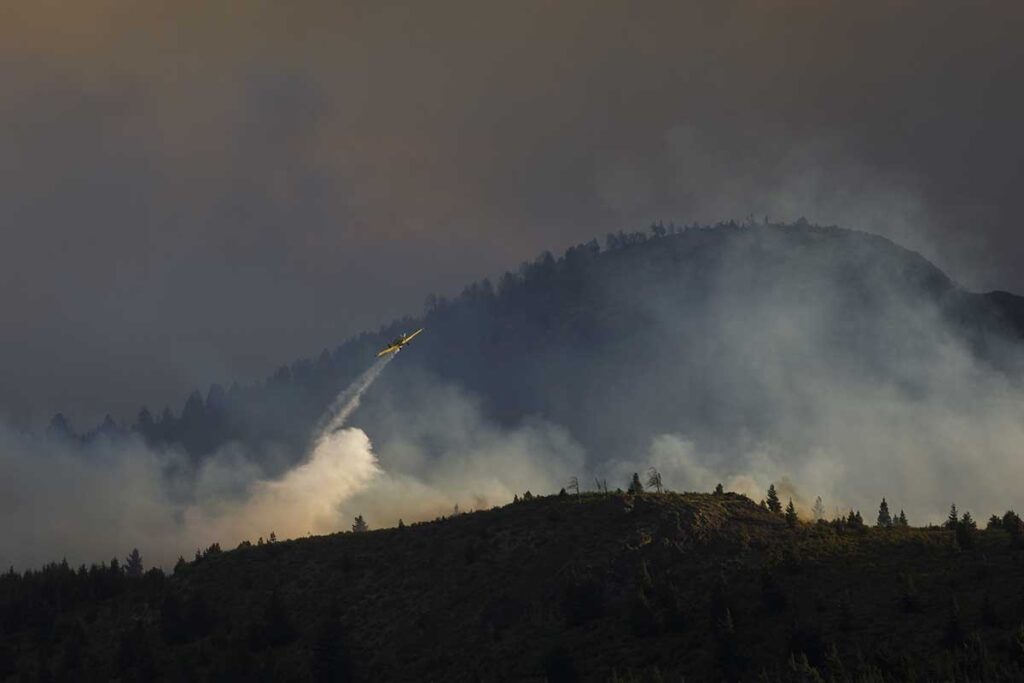 Informe de incendios forestales en los bosques andino patagónicos de Argentina de Greenpeace. Periodo Octube - marzo 2025.