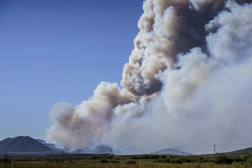 Incendio en Lanin. Informe de incendios forestales en los bosques andino patagónicos de Argentina de Greenpeace. Periodo Octube - marzo 2025.