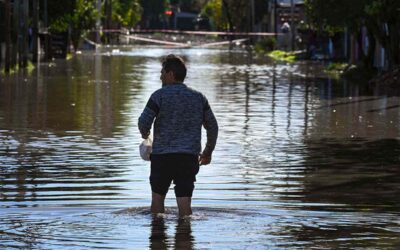 La tormenta perfecta: barrios privados, destrucción de humedales y negacionismos