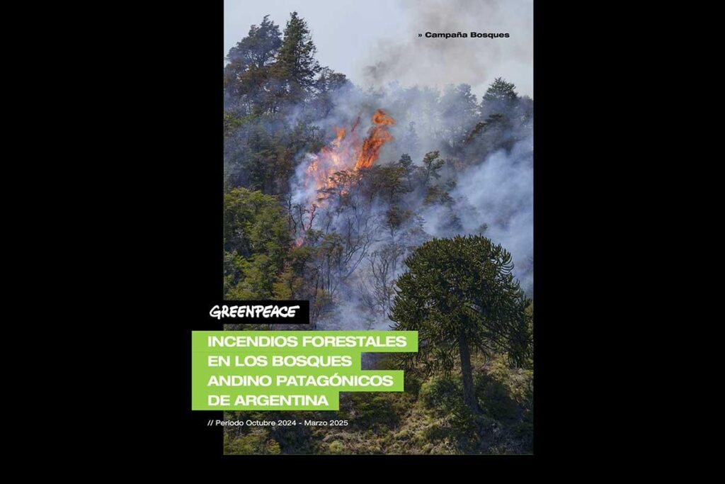 Informe de incendios forestales en los bosques andino patagónicos de Argentina de Greenpeace. Periodo Octube - marzo 2025.