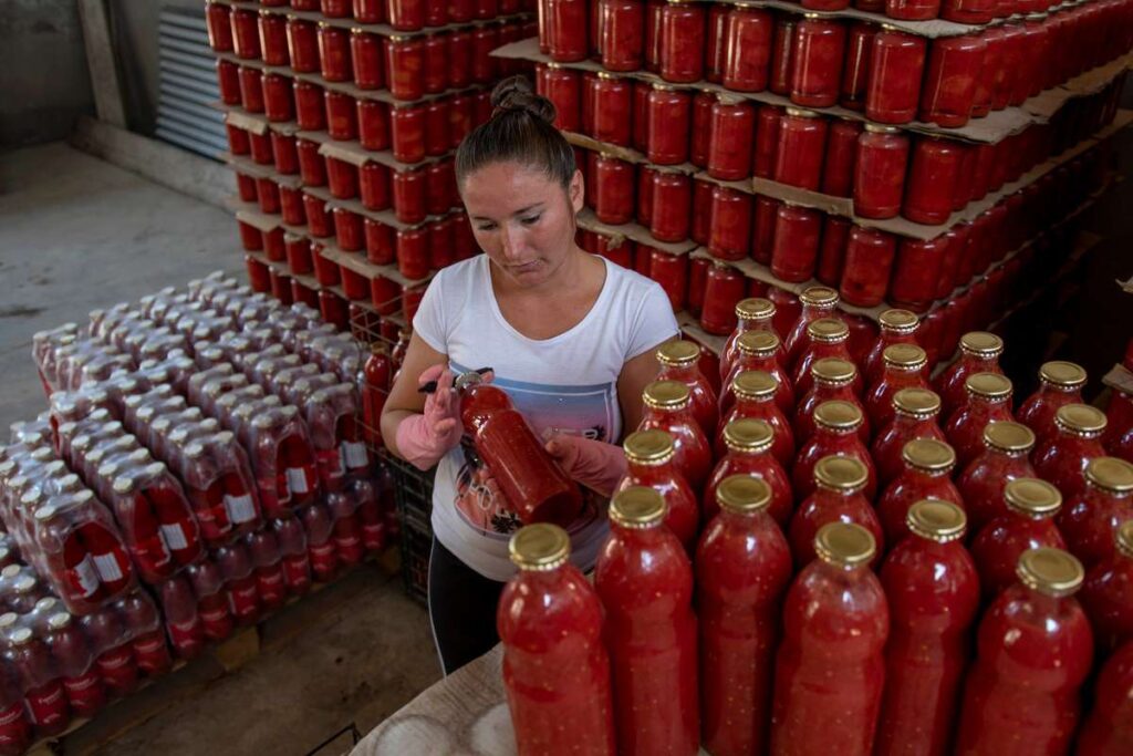 La agroecología en su salsa: tomates sin agrotóxicos desde Mendoza y Corrientes