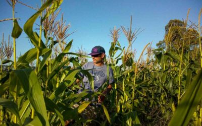 Es tiempo de agroecología: el sistema alimentario actual acelera la crisis climática y empobrece a las mayorías