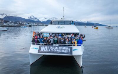 Cría de salmones en Tierra del Fuego: trampas políticas, negocios de pocos y territorios de sacrificio
