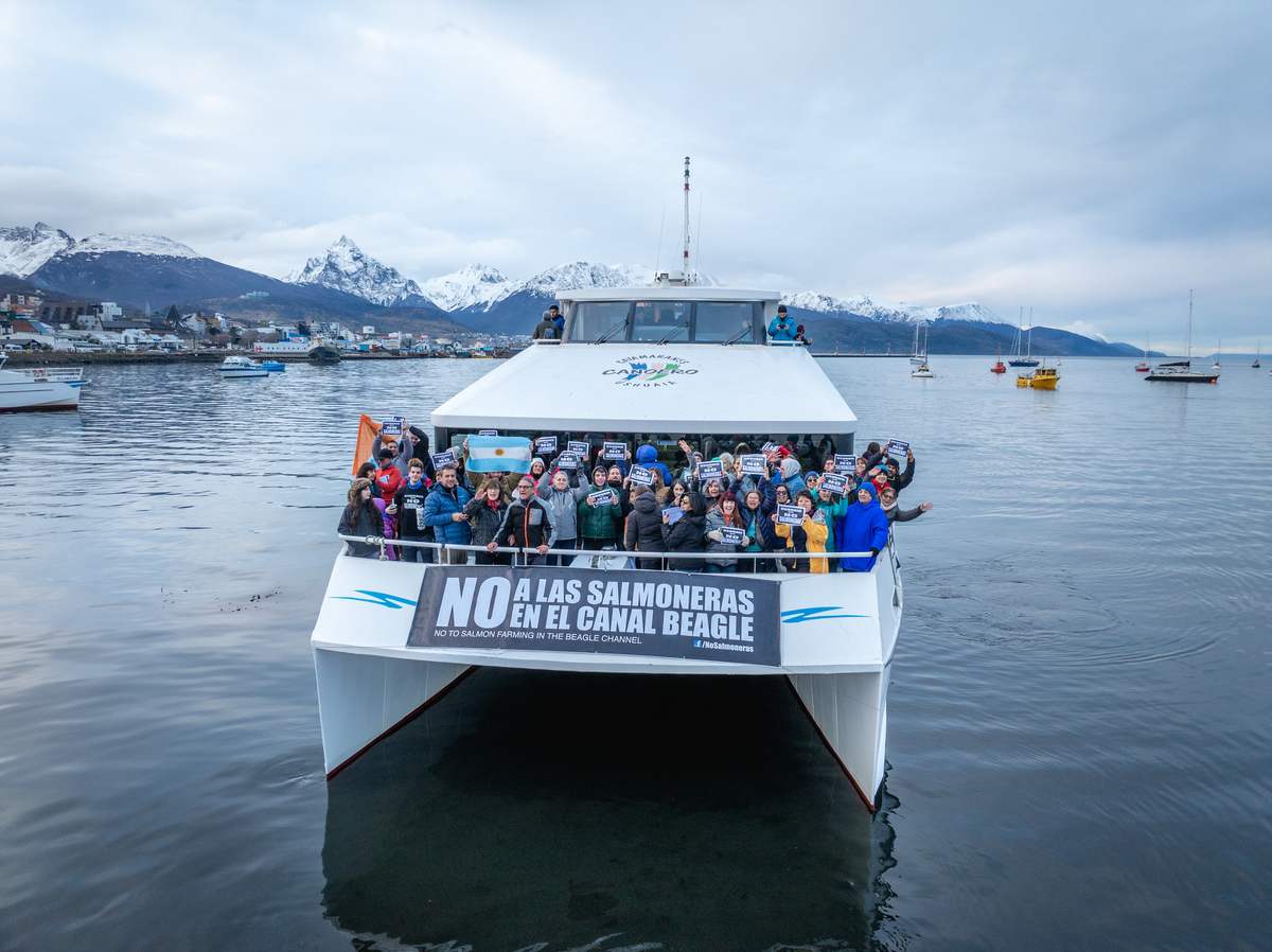 Cría de Salmones en Tierra del Fuego.