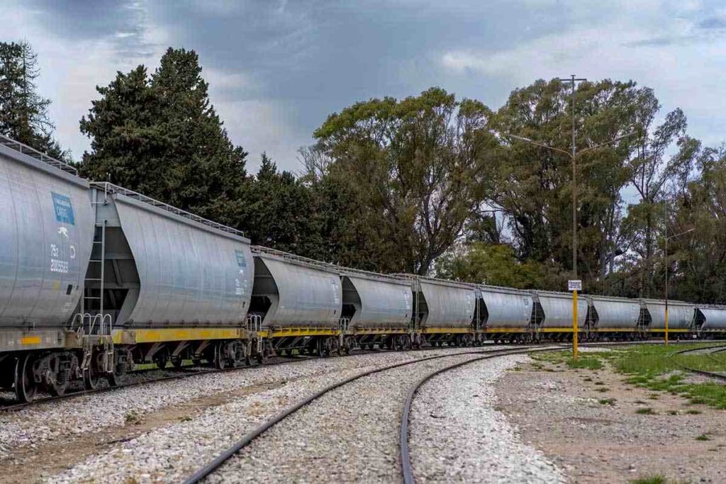 Tren Belgrano Cargas.